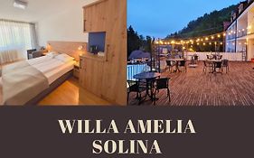 Hotel Amelia Solina